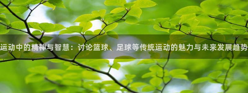 919体育赛事直播在线观看：运动中的精神与智慧：讨论篮球、足球等传统运动的魅力与未来发展趋势