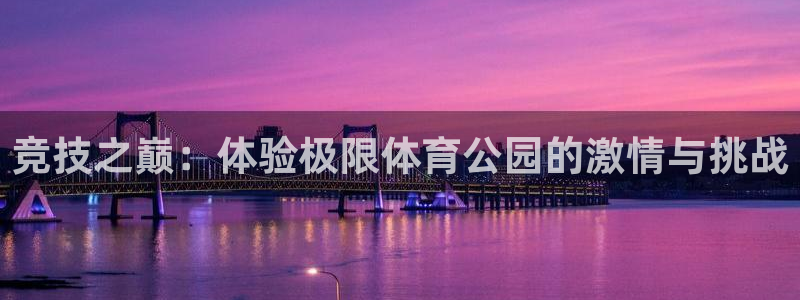 智博1919体育：竞技之巅：体验极限体育公园的激情与挑战