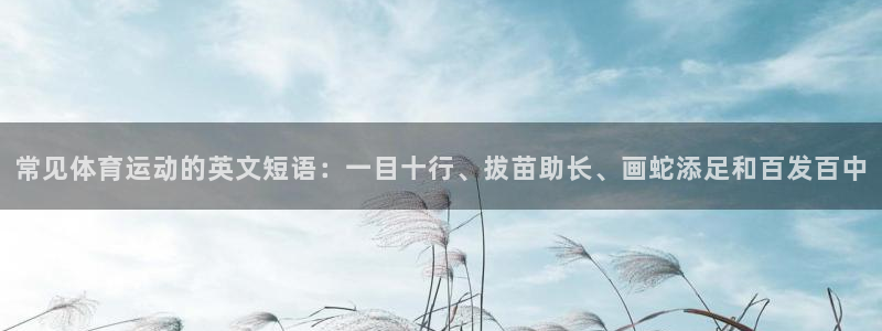 919体育直播APP版本更新内容：常见体育运动的英文短语：一目十行、拔苗助长、画蛇添足和百发百中