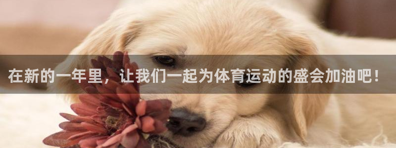 919体育专业直播平台：在新的一年里，让我们一起为体育运动的盛会加油吧！